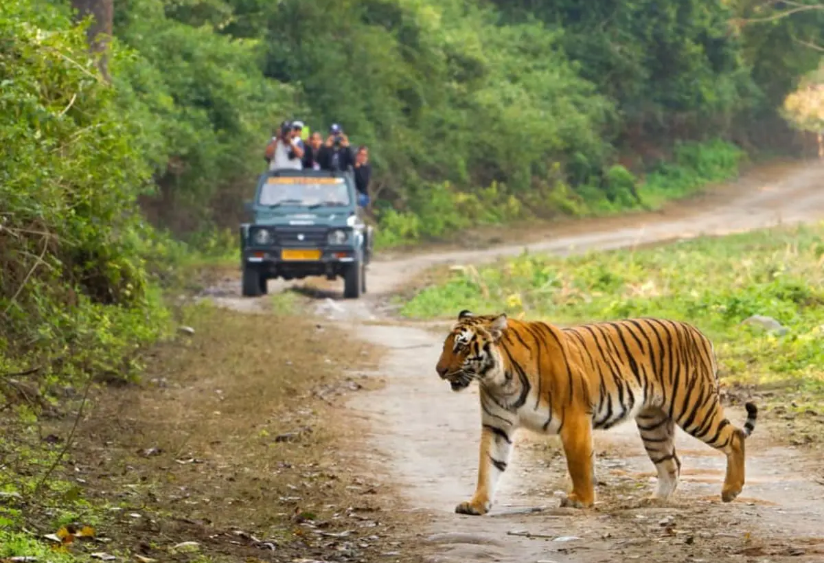 Nainital Jim Corbett Tour Package