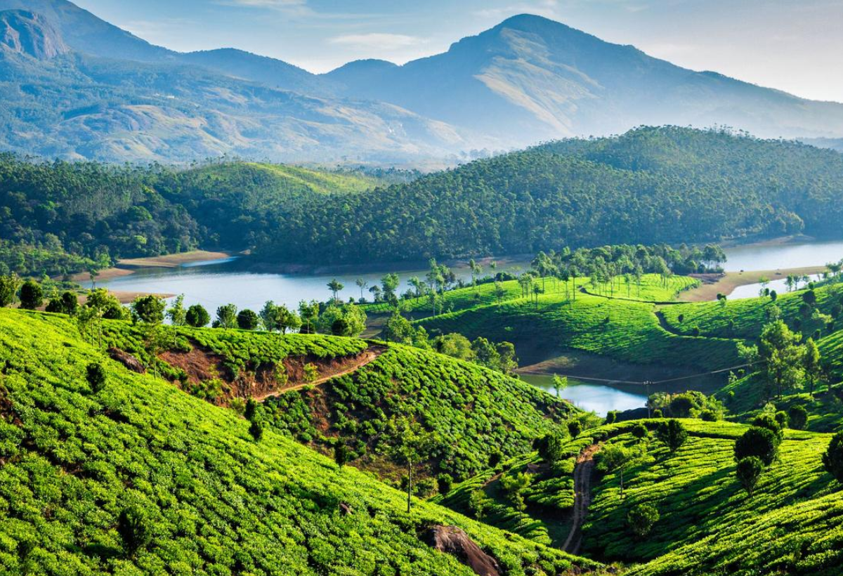 Munnar Tour Package