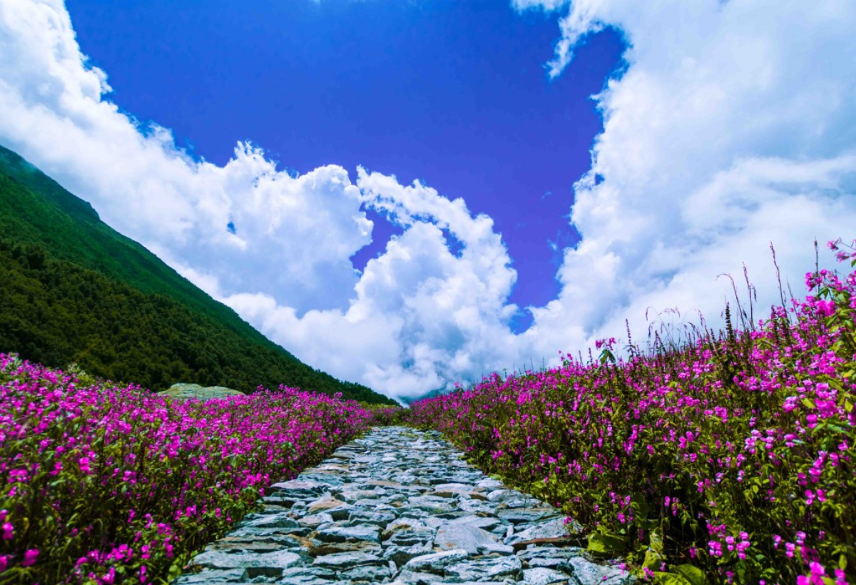 Valley of Flower Trek